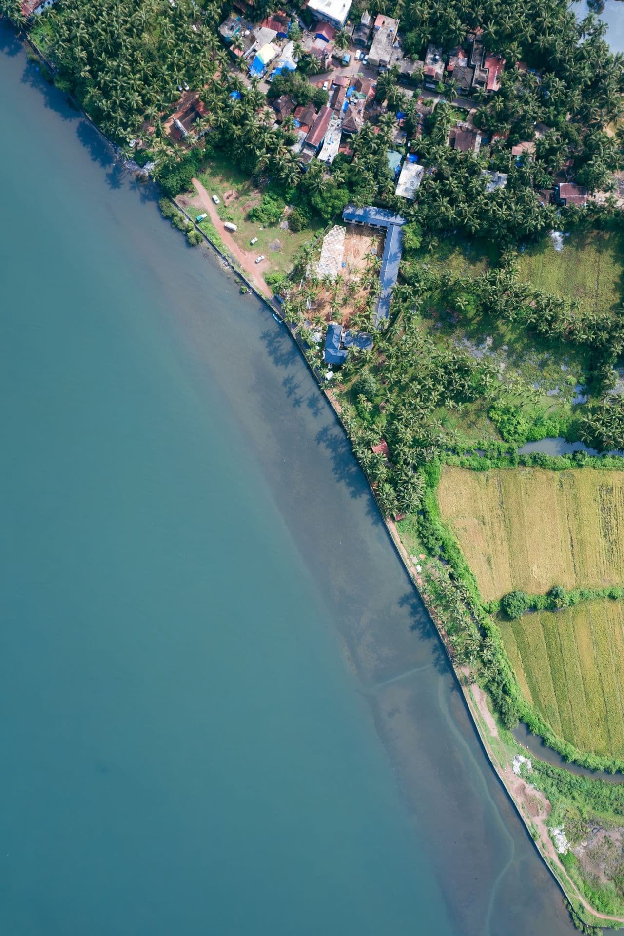 Andaman vs Goa — Which Beach Destination Is Right for You?