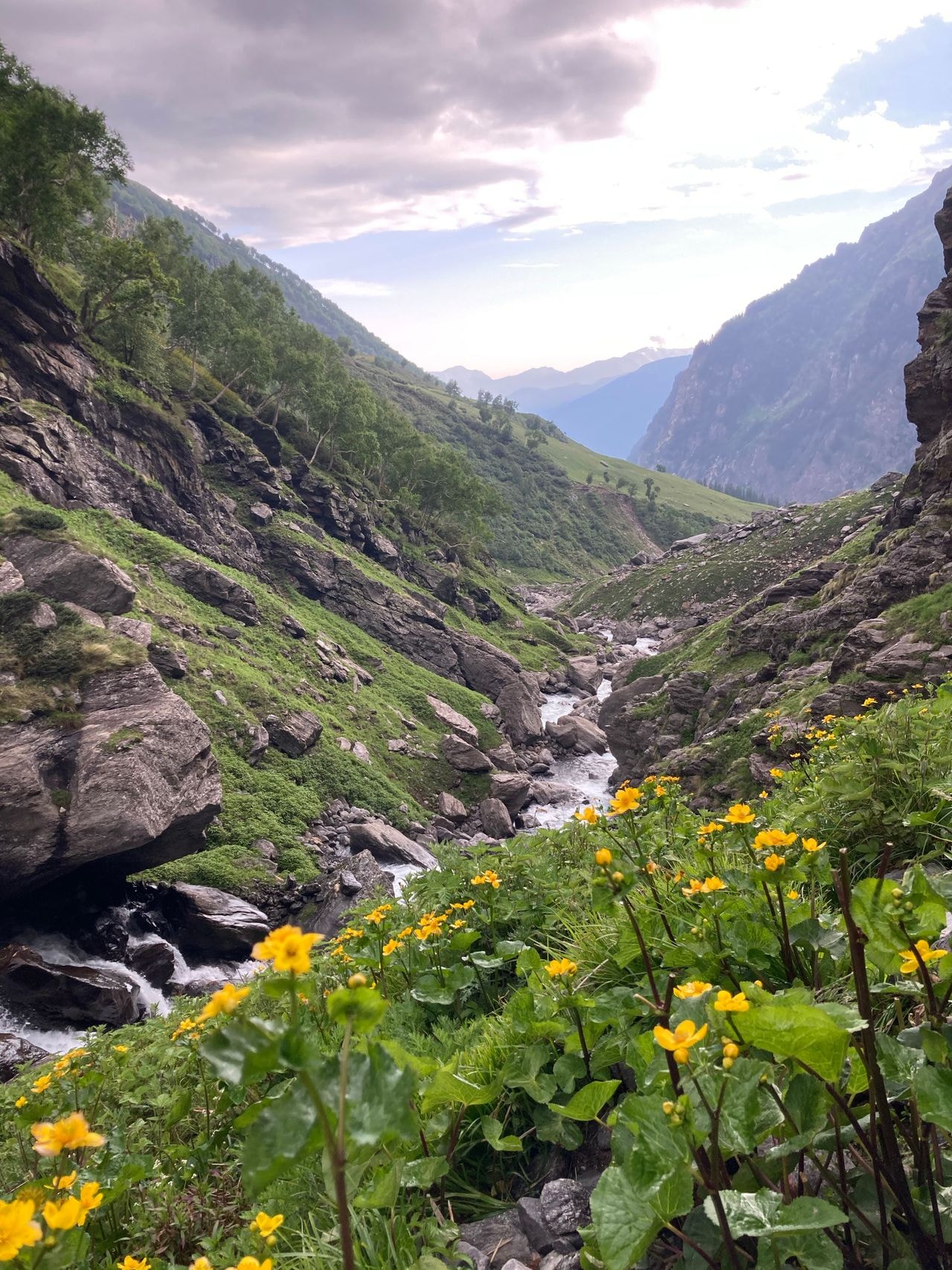 Valley of Flowers Trek 2026 — Peak Bloom Guide, Permits & Itinerary
