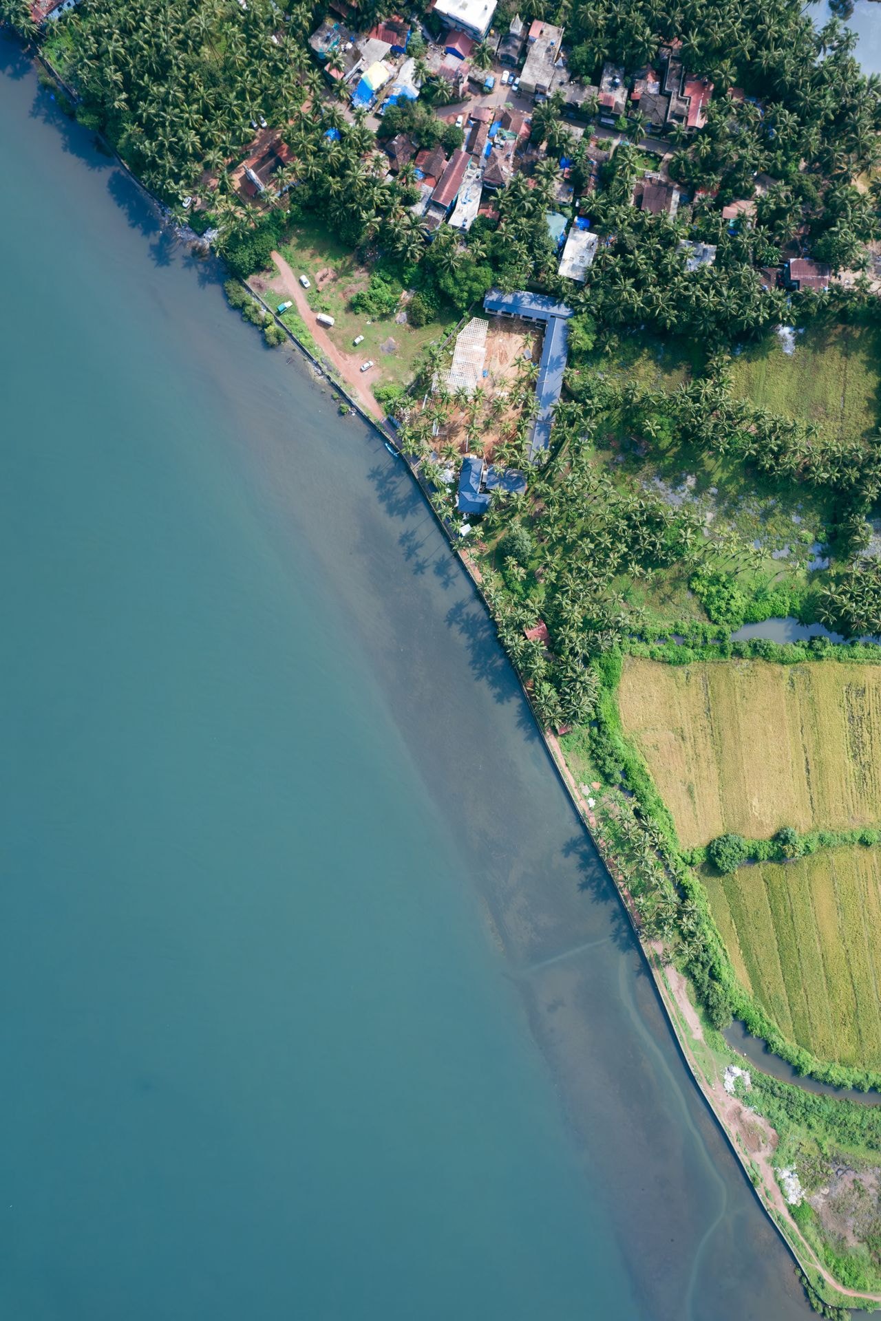 Andaman vs Goa — Which Beach Destination Is Right for You?