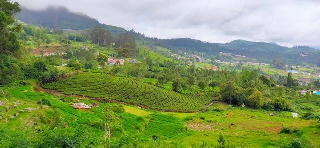 South India Tour Plan 2026 — Ooty, Kodaikanal, Rameshwaram & More
