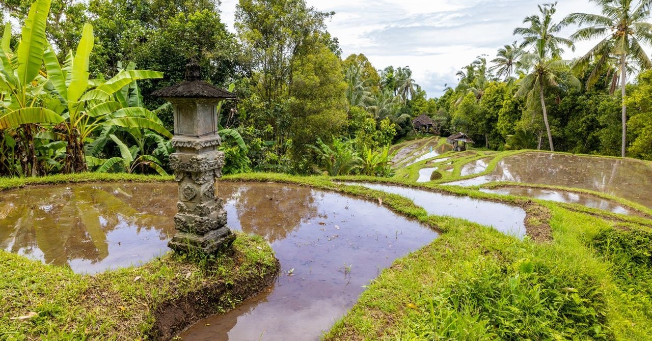 Bali Travel Guide for Indians 2026 — Visa, Budget & Best Time to Visit