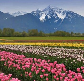 Best Time to Visit Kashmir — Month-by-Month Guide 2026