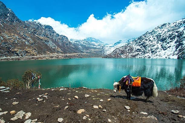 Sikkim Darjeeling Tour Package | 5N/6D Gangtok & Darjeeling — Tour Package | AdventurePedia
