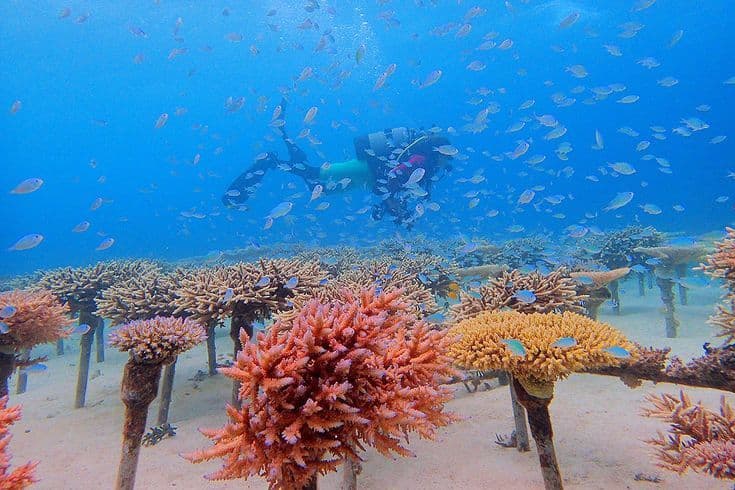 Andaman Bliss - 4N/5D