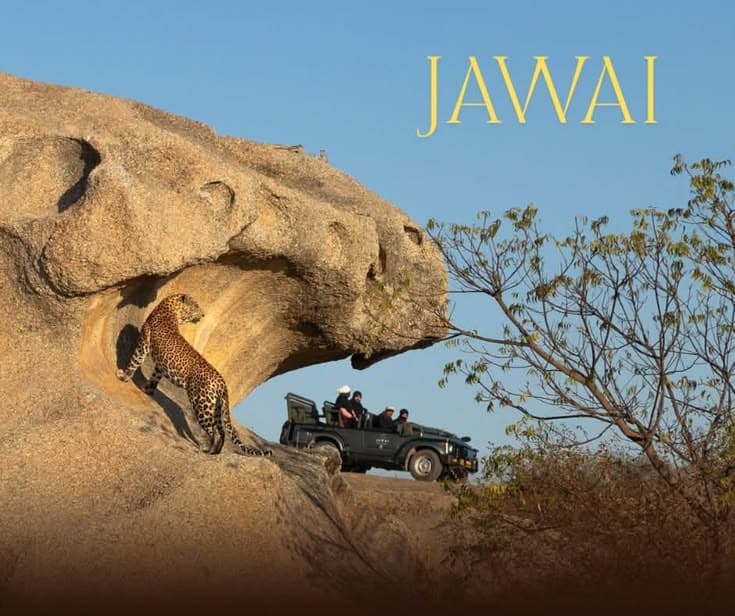 Udaipur & Jawai Leopard Safari — The Ultimate Monsoon Road Trip from Kanpur