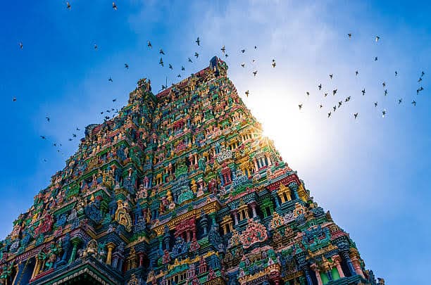 Kerala Family Tour Package | Cochin, Munnar, Thekkady, Alleppey & Kovalam | 7N/8D — Tour Package | AdventurePedia